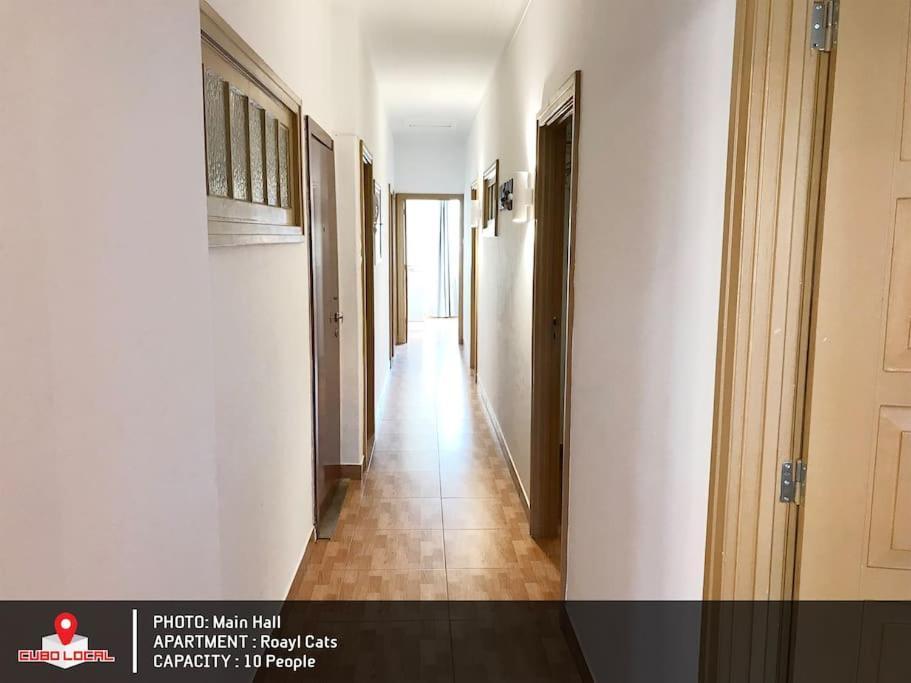 Royal Cats Apartment 포르투 외부 사진