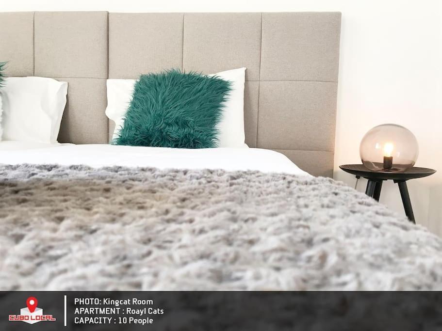 Royal Cats Apartment 포르투 외부 사진